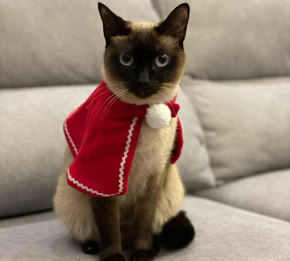 Modern Homestay With River Views, Sunrise & Friendly Cats リスボン ポルトガル